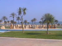 /album/en-amposta/en-rapita-012-jpg/